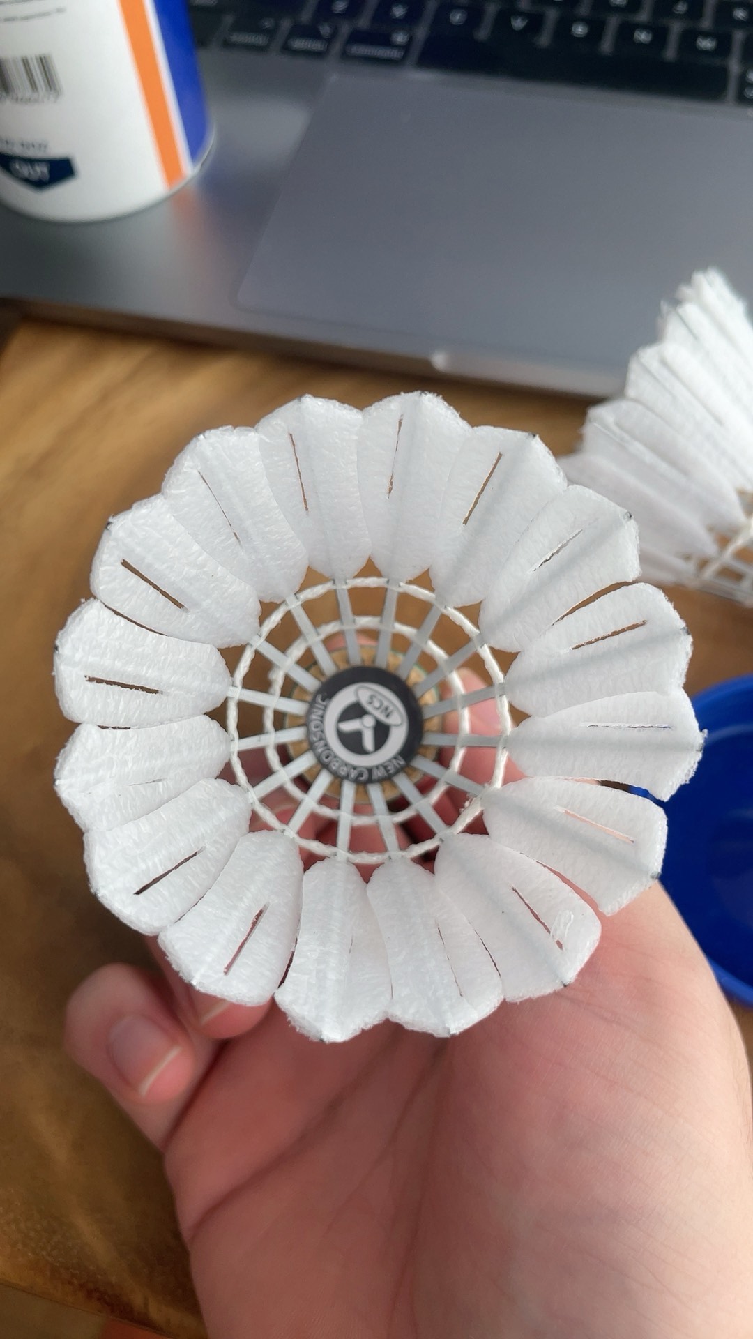 一次典型回 一次典型回